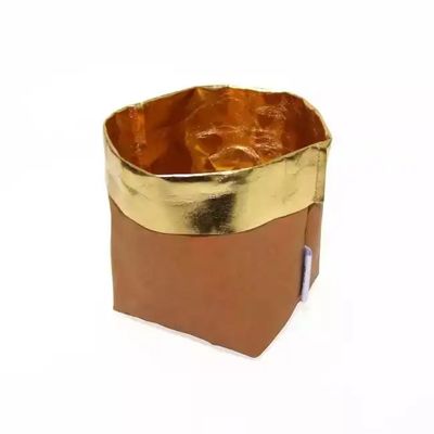 Douane Opnieuw te gebruiken Recyclingsdocument Potten 0.55mm van de Zakzaailing Wasbaar Document Zak voor Installaties